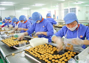 安吉食品加工生产产业